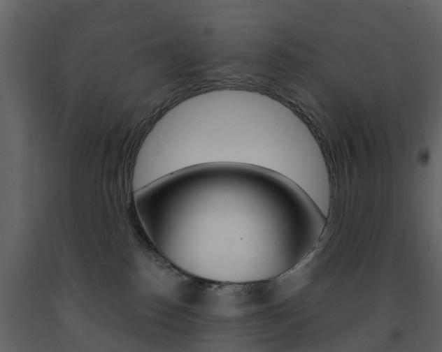 X0000091690186200708231138