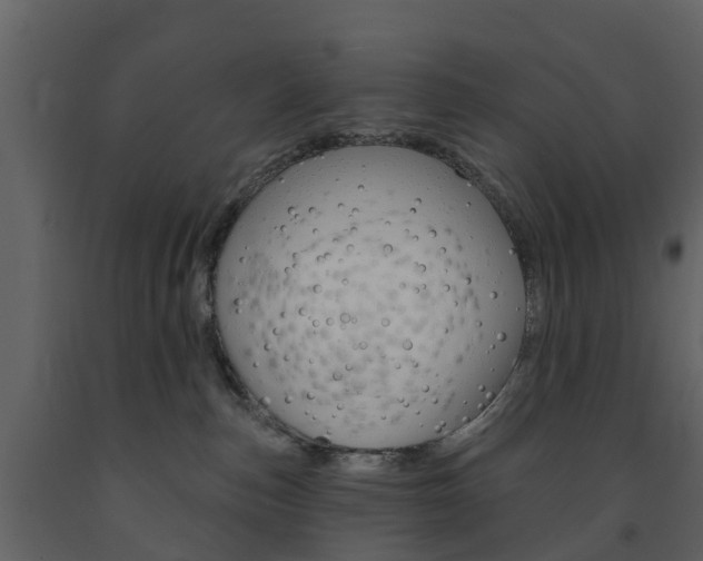 X0000091690187200708231138