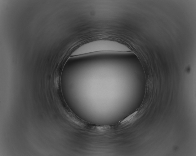 X0000091690188200708231138