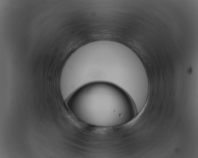 X0000091690190200708231138