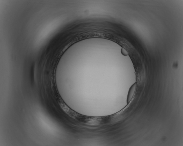 X0000091690191200708231138