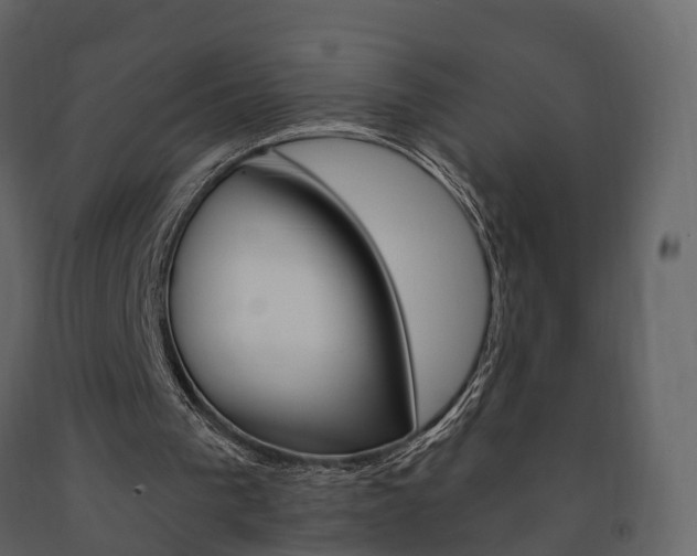 X0000091690193200708231138