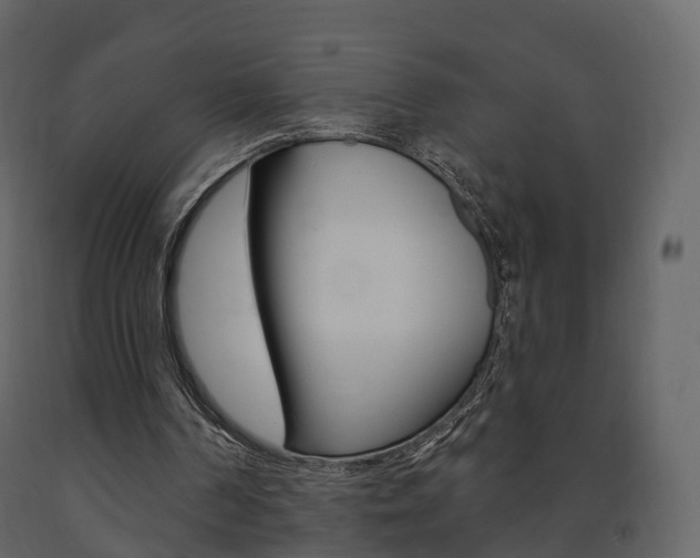 X0000091690194200708231138