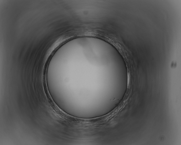 X0000091690195200708231138