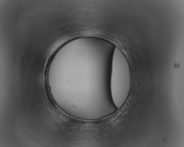 X0000091690196200708231138