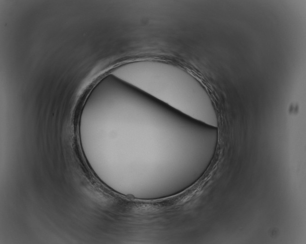 X0000091690198200708231138