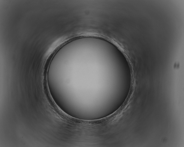 X0000091690199200708231138