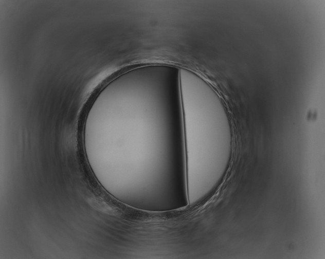 X0000091690200200708231138