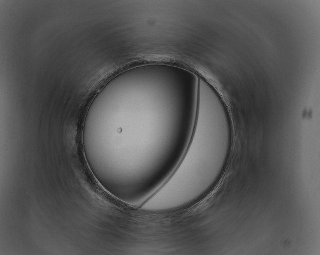 X0000091690201200708231138