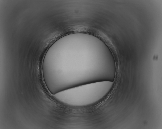 X0000091690202200708231138