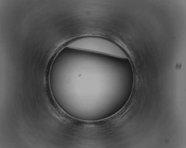 X0000091690203200708231138