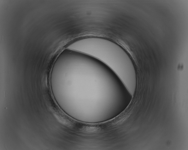 X0000091690205200708231138