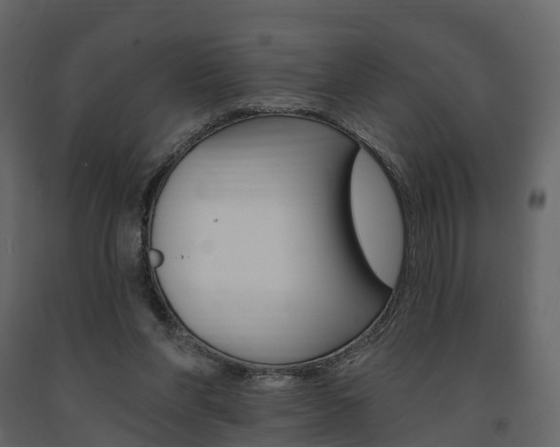 X0000091690206200708231138