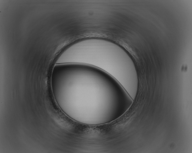 X0000091690207200708231138