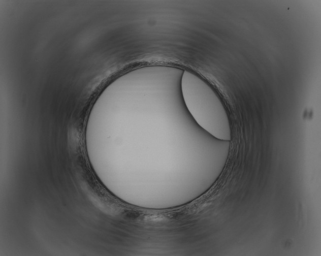 X0000091690208200708231138