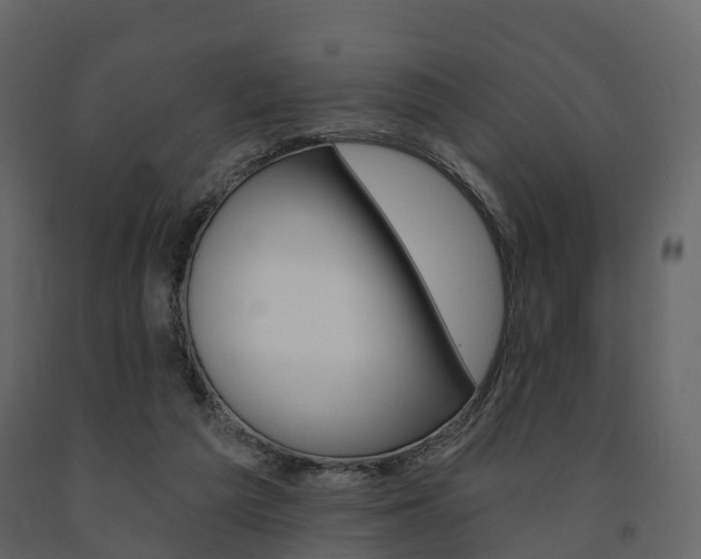 X0000091690209200708231137