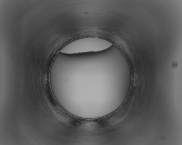 X0000091690210200708231137
