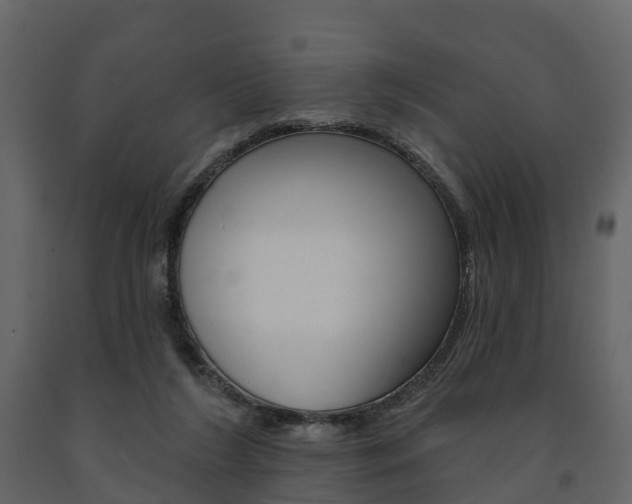 X0000091690212200708231137