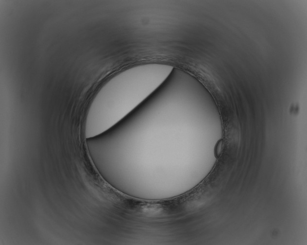 X0000091690214200708231137