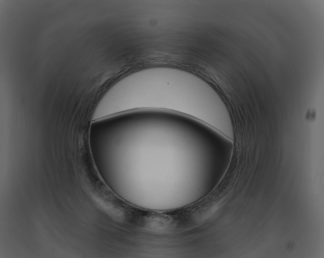 X0000091690215200708231137
