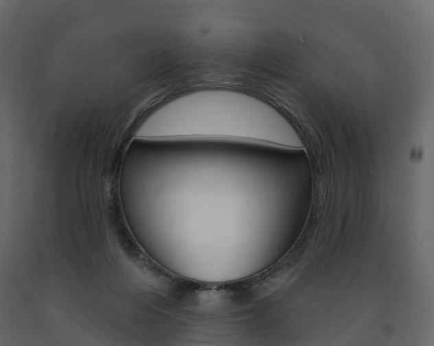 X0000091690216200708231137