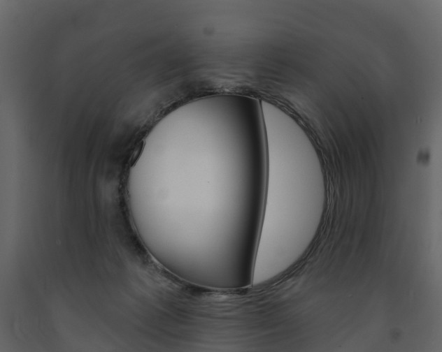 X0000091690221200708231137