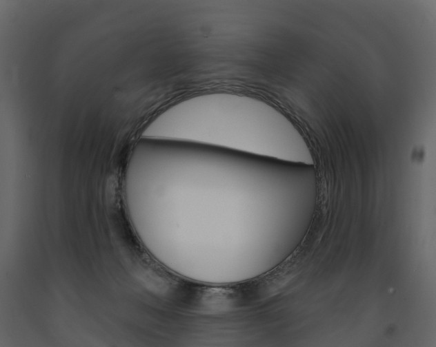 X0000091690222200708231137