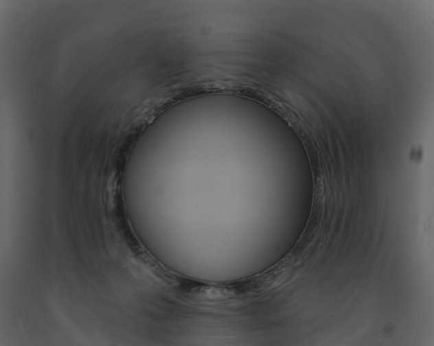 X0000091690223200708231137