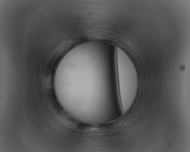 X0000091690224200708231137