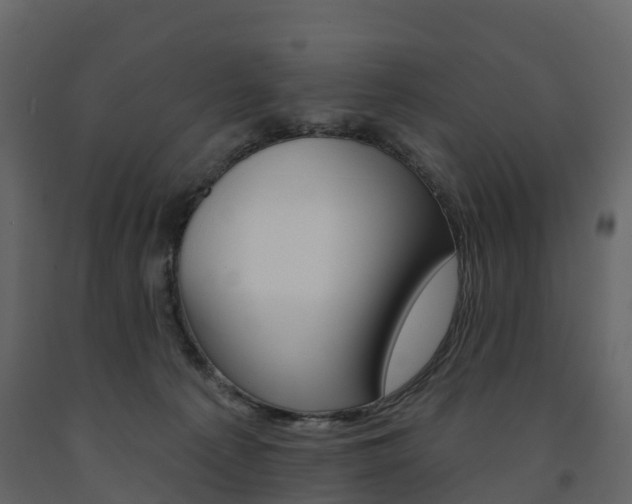 X0000091690225200708231137