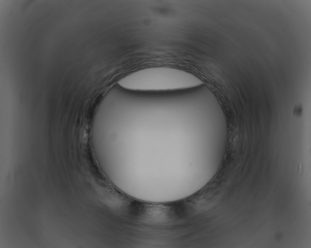 X0000091690226200708231137