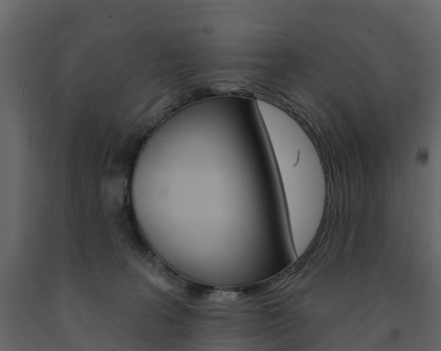 X0000091690227200708231137