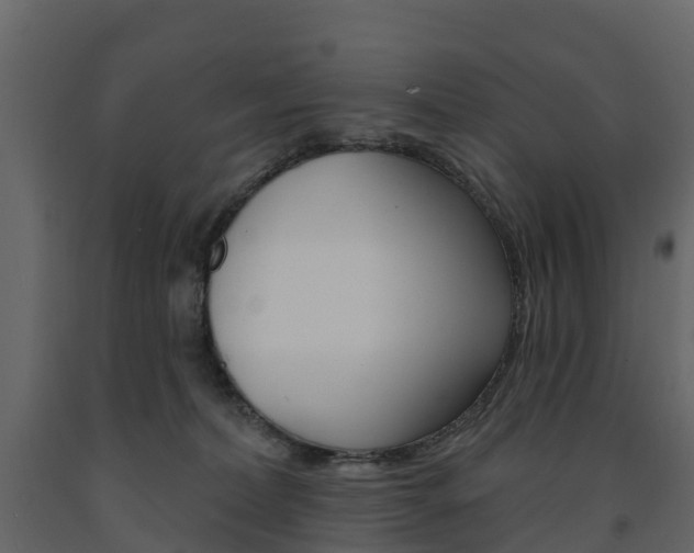 X0000091690228200708231137