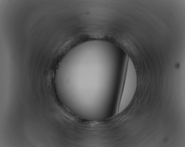 X0000091690229200708231137