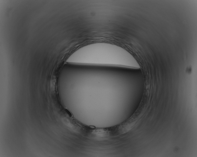 X0000091690231200708231137