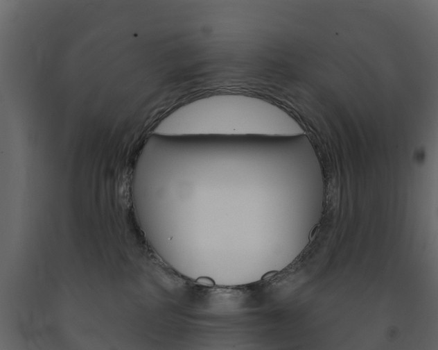 X0000091690234200708231137