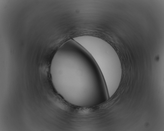 X0000091690235200708231137
