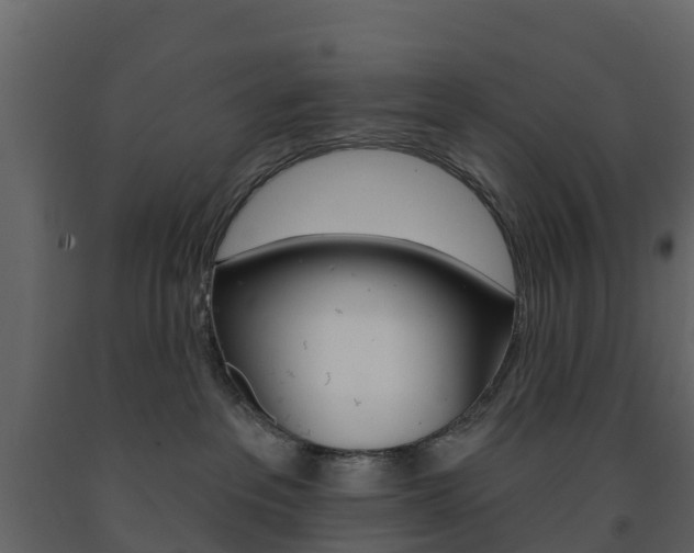 X0000091690237200708231137