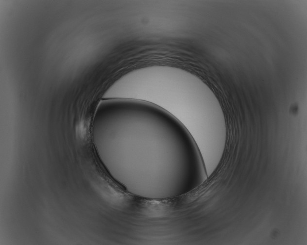 X0000091690239200708231137