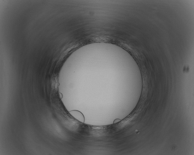 X0000091690240200708231137