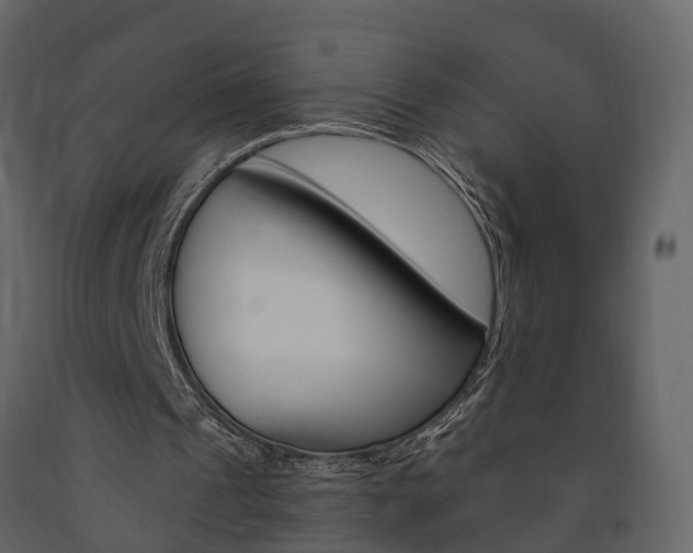 X0000091690241200708231136