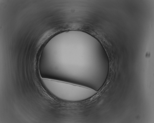 X0000091690242200708231136