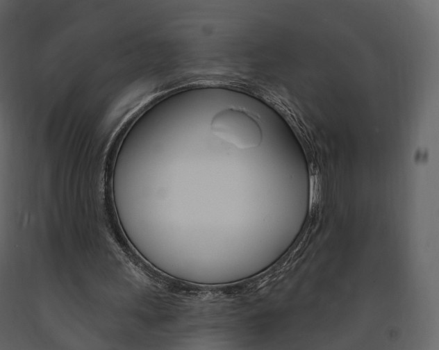 X0000091690243200708231136