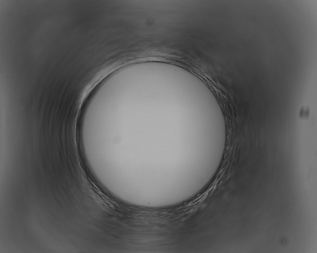 X0000091690244200708231136