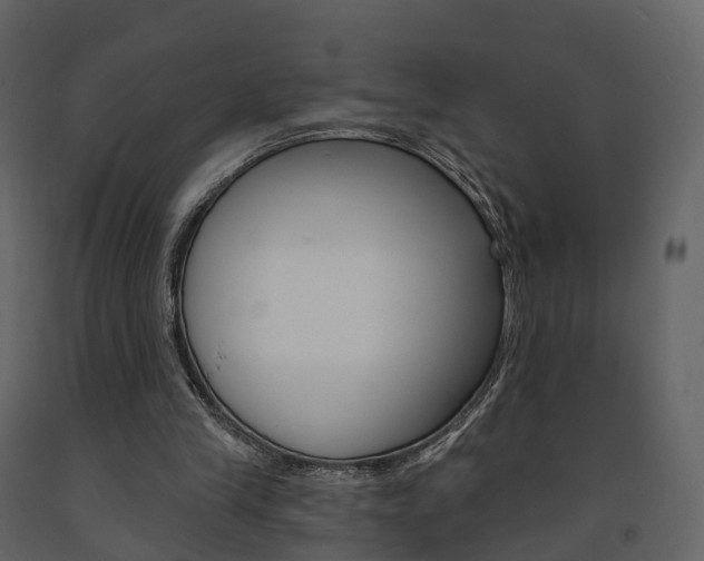 X0000091690245200708231136