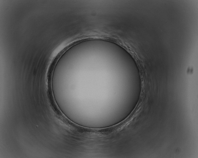 X0000091690246200708231136
