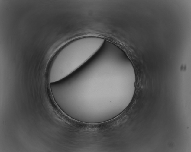 X0000091690247200708231136