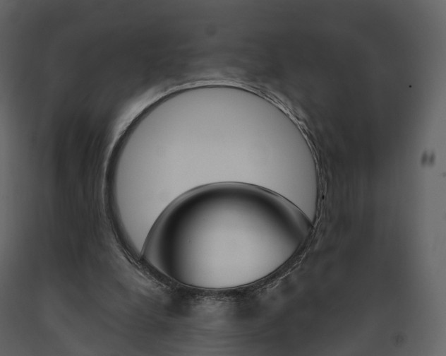 X0000091690248200708231136