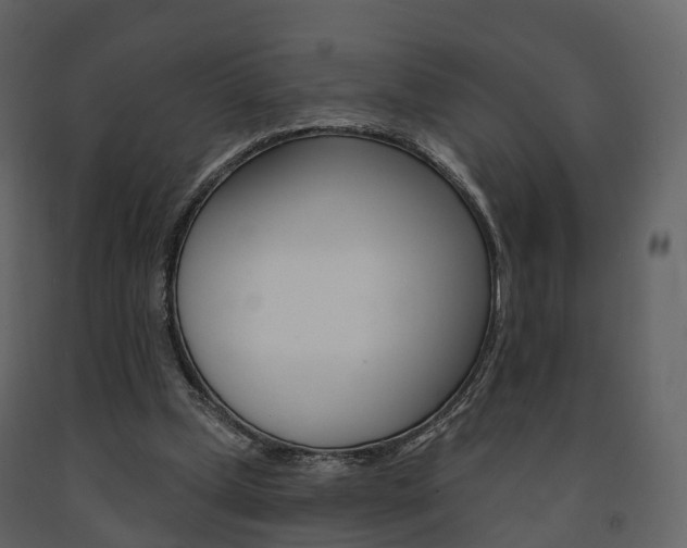 X0000091690249200708231137