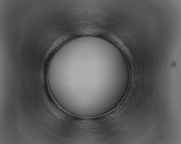 X0000091690250200708231137